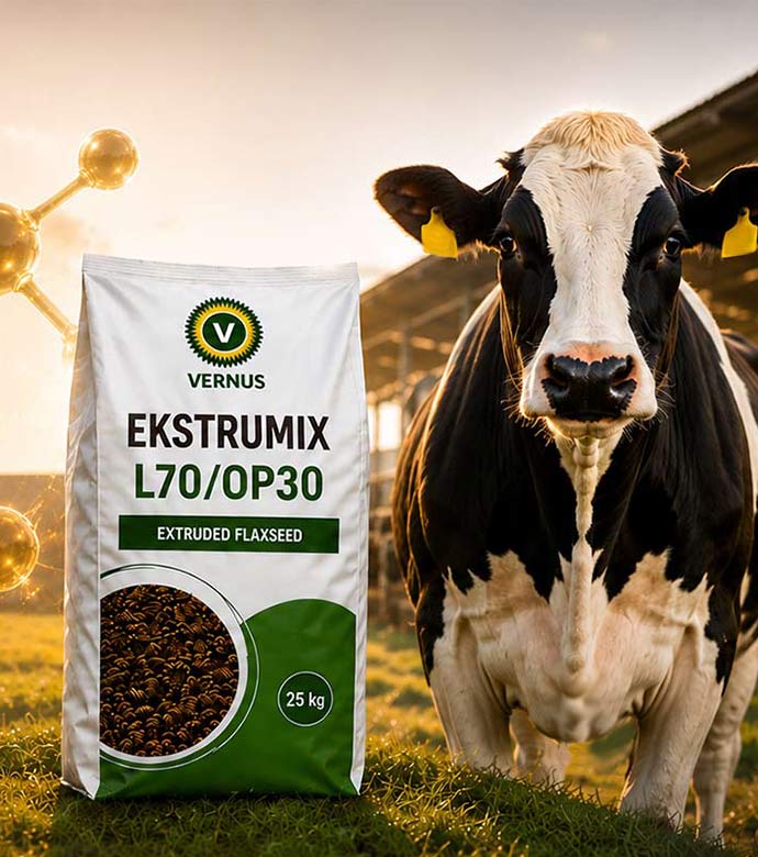 Ekstruzuoti linų sėmenys Ekstrumix L70/OP30 pieniniams galvijams